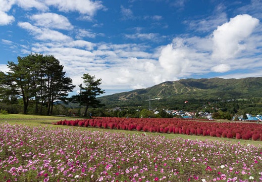 201310101028-DSC01085.jpg