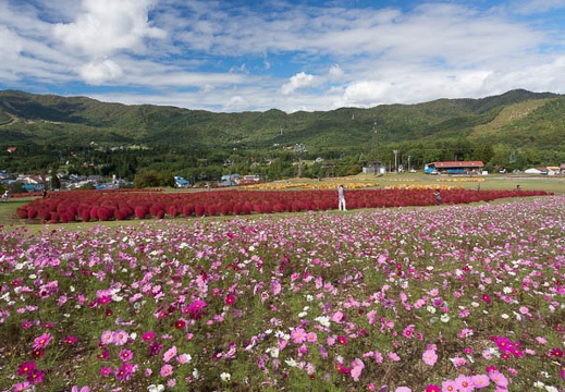 201310101029-DSC01087.jpg