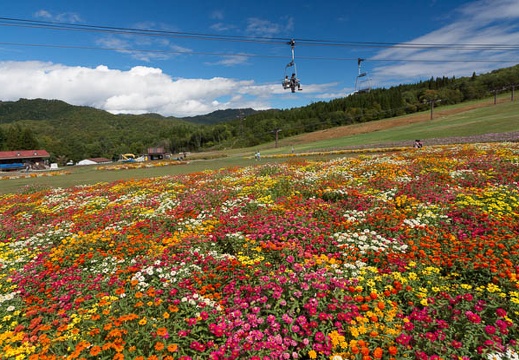 201310101044-DSC01123.jpg