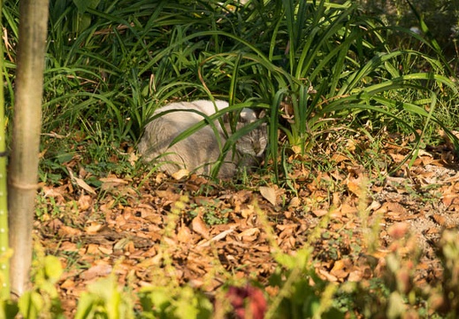 201310141517-DSC01339.jpg
