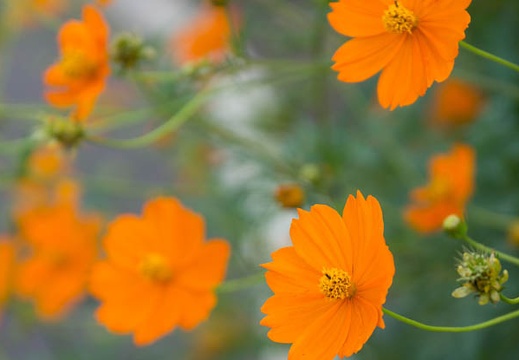 201310141522-DSC01342.jpg