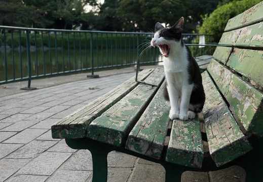 201310141551-DSC01368.jpg