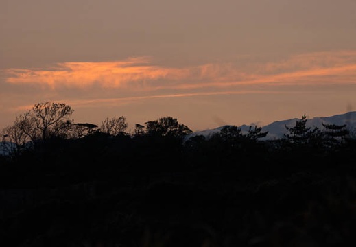 201310300606-DSC01688.jpg