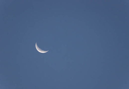 201310300612-DSC01698.jpg
