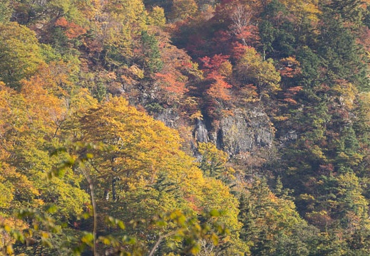 201310300808-DSC01740.jpg