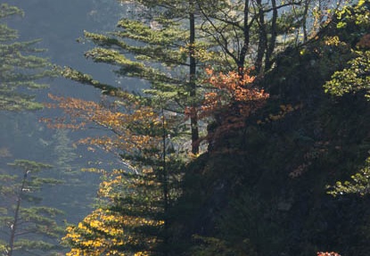 201310300824-DSC01760.jpg