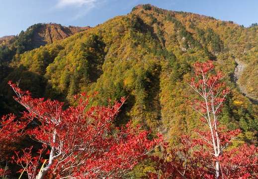 201310300910-DSC01853.jpg