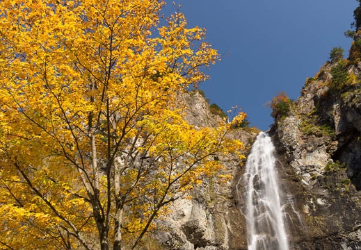 201310300924-DSC01879.jpg