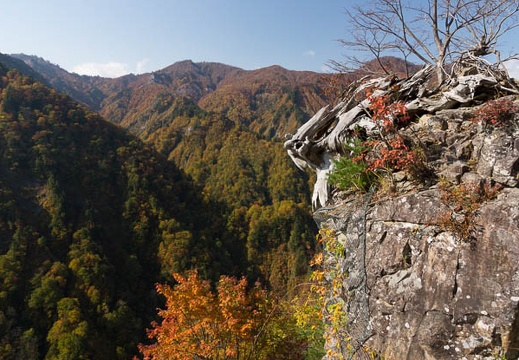 201310300957-DSC01937.jpg