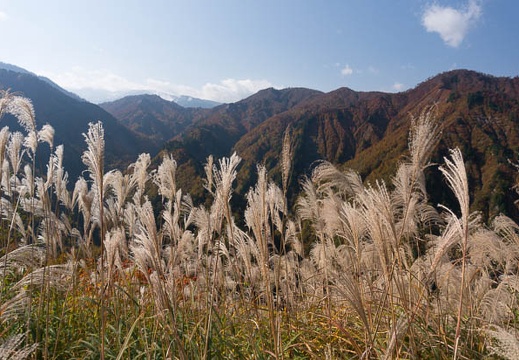 201310301009-DSC07172N.jpg