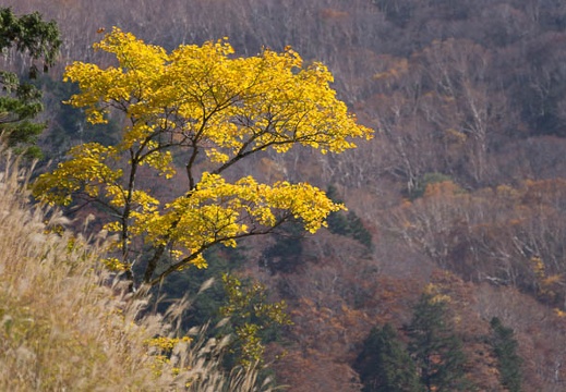 10.30 白山スーパー林道