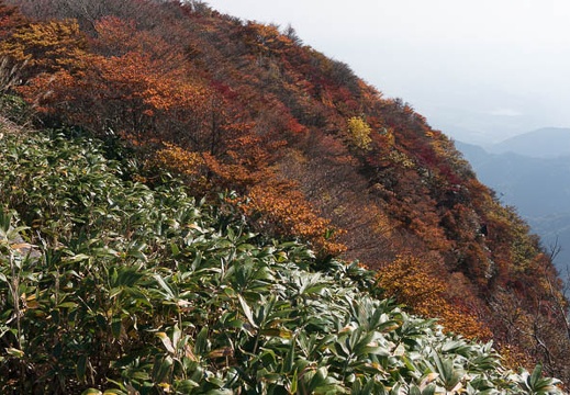 201311010931-DSC07317N.jpg