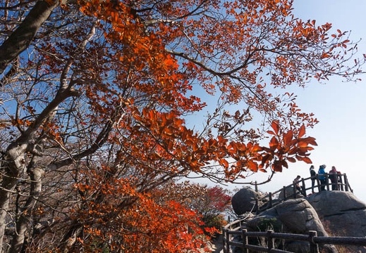 201311010938-DSC07330N.jpg