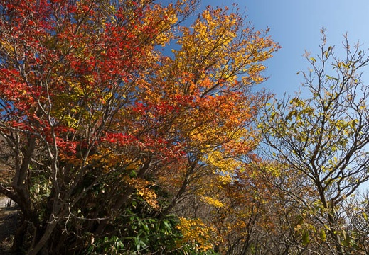 201311011105-DSC02225.jpg