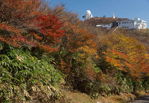 201311011113-DSC02239.jpg
