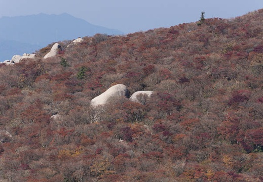 201311011156-DSC02300.jpg