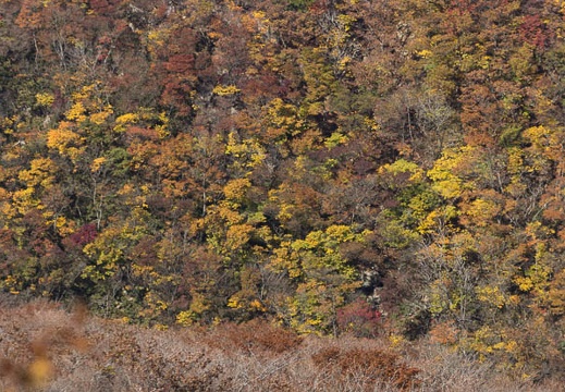 201311011200-DSC02314.jpg