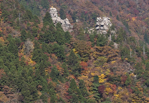201311011200-DSC02315.jpg