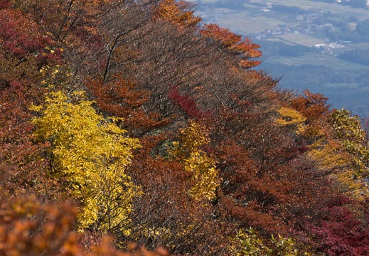201311011211-DSC02325.jpg