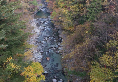 201311050744-DSC07411N.jpg