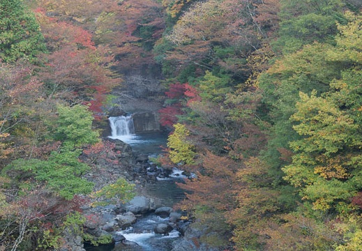 201311050745-DSC02455.jpg