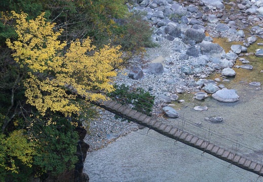 201311050746-DSC02458.jpg