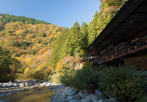 201311050819-DSC02515.jpg