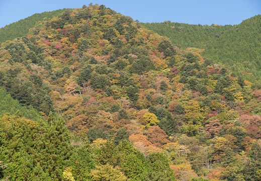 201311050848-DSC02545.jpg