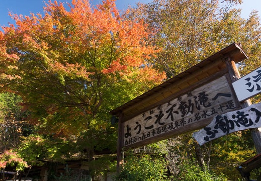 201311050918-DSC02576.jpg