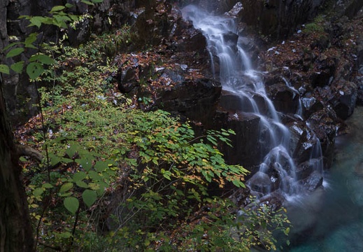 201311050930-DSC02598.jpg