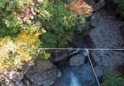 201311051000-DSC02660.jpg
