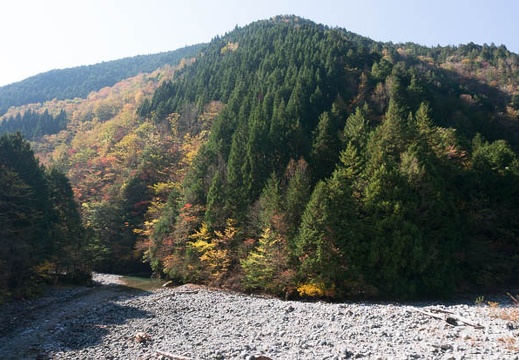 201311051044-DSC07465N.jpg