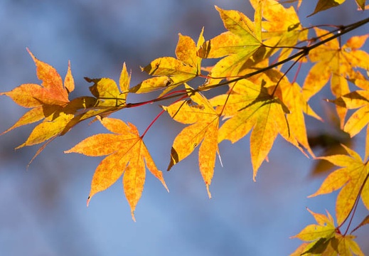 201311051107-DSC02705.jpg