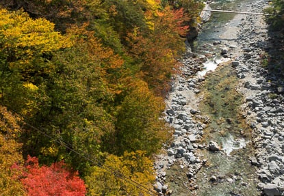 201311051137-DSC02745.jpg
