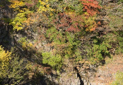 201311051138-DSC02750.jpg