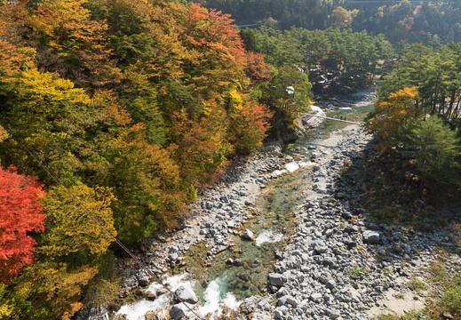 201311051141-DSC02759.jpg
