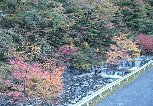 20131113071626-SO-01F.jpg
