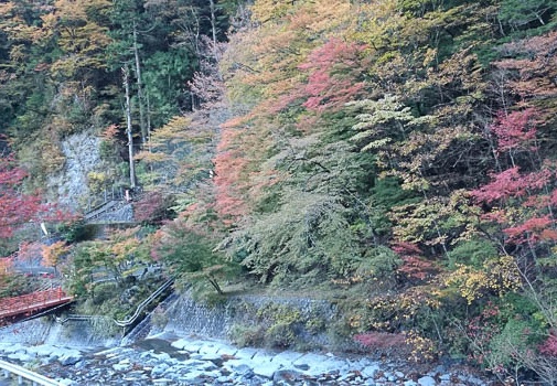 20131113071645-SO-01F.jpg