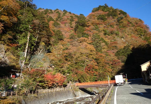 20131113075158-SO-01F.jpg