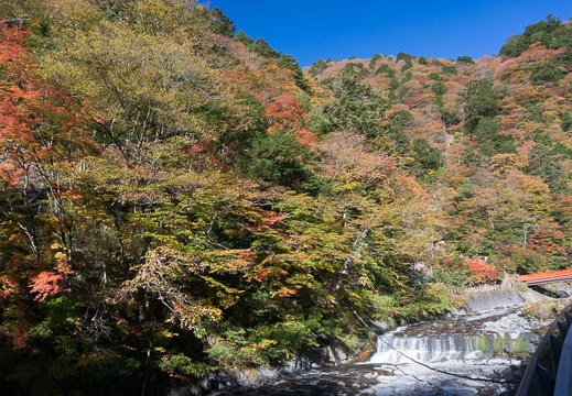 201311130754-DSC07557N.jpg
