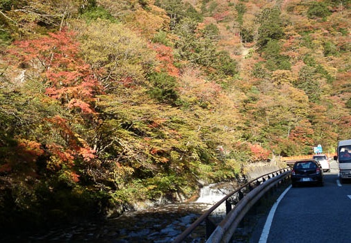 20131113075626-SO-01F.jpg