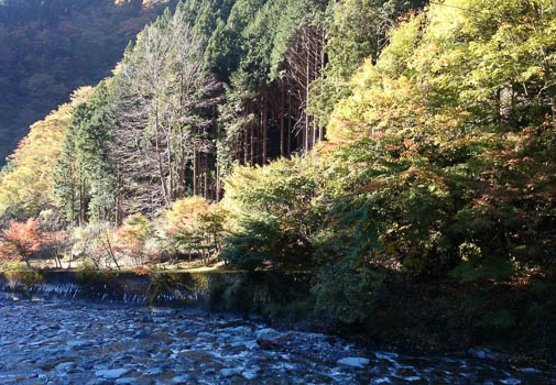 20131113075707-SO-01F.jpg