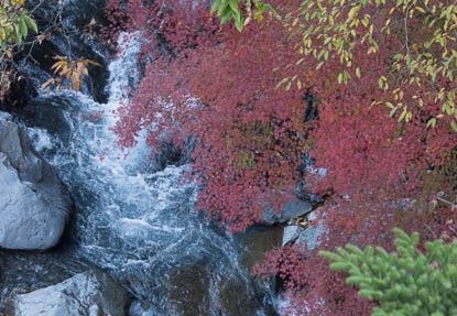 201311130830-DSC03079.jpg
