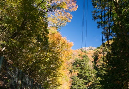 201311130842-DSC07586N.jpg