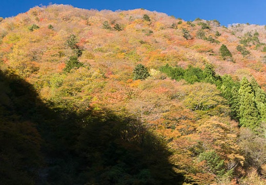 201311130848-DSC07599N.jpg