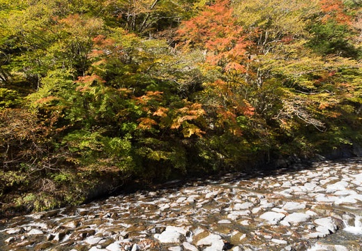 201311130902-DSC03112.jpg