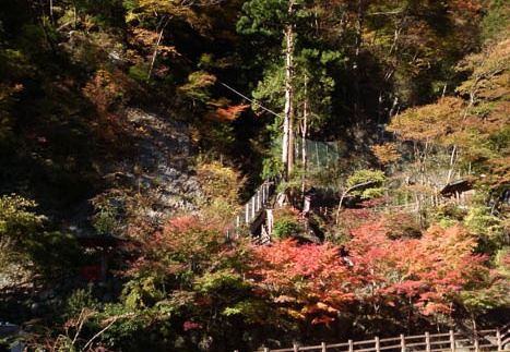 20131113090637-SO-01F.jpg