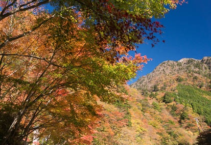 201311130922-DSC07614N.jpg