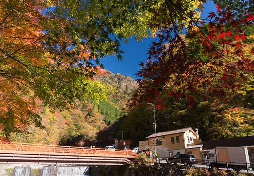 201311130923-DSC07615N.jpg