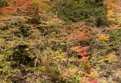 201311130928-DSC07625N.jpg